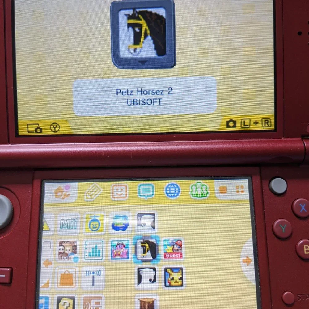 Petz Horsez 2 for Nintendo DS